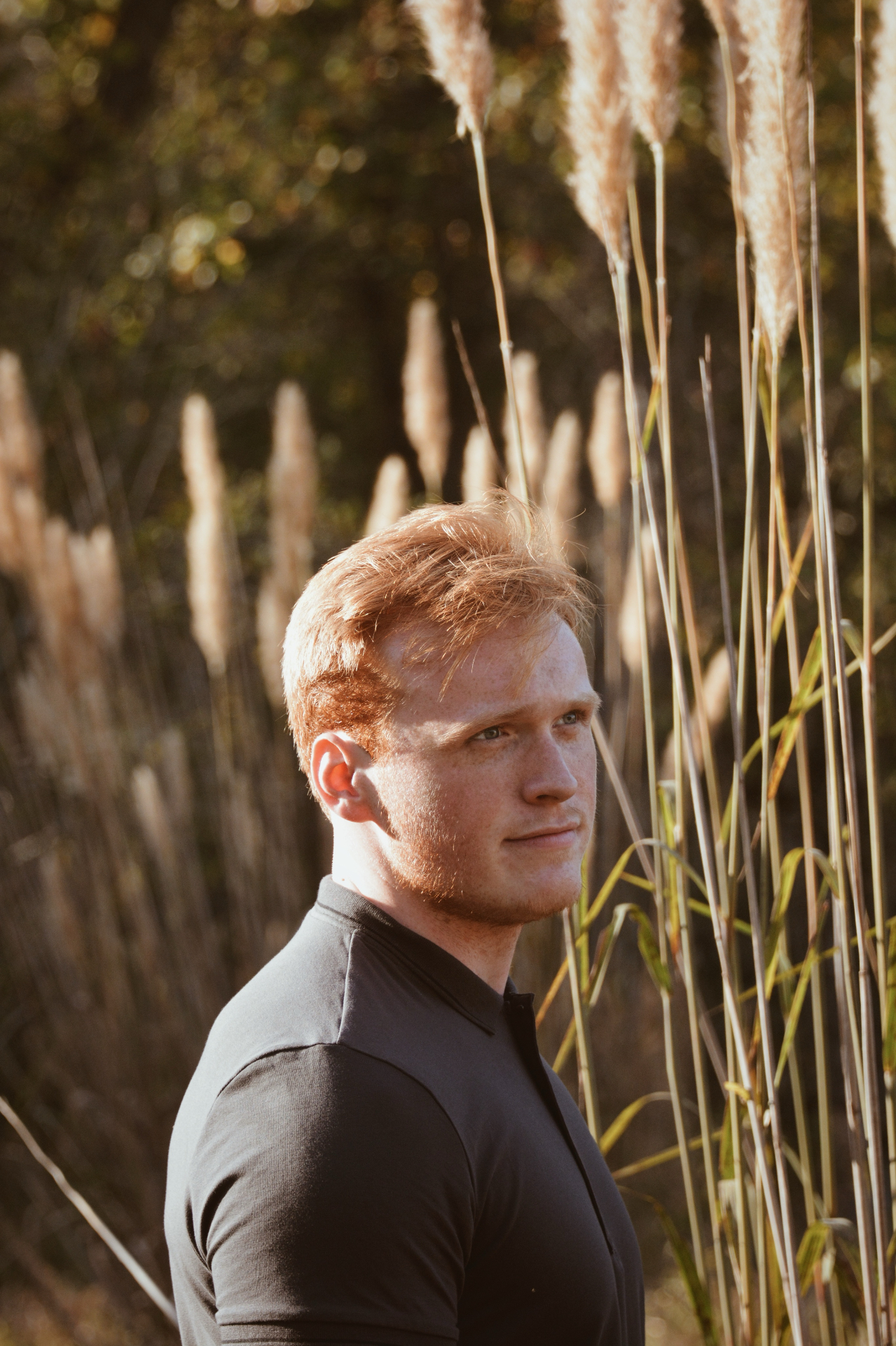 Young man with red hair in a black shirt among pampas grasses at golden hour