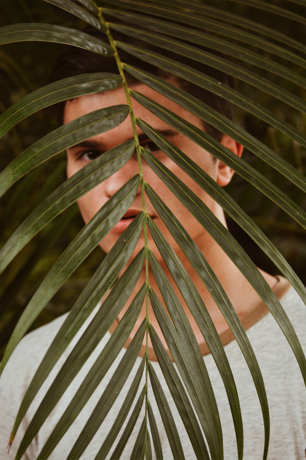 Young man partly hidden behind a palm leaf